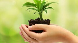 Timeline: Principales Hitos en la Educación Ambiental en Colombia