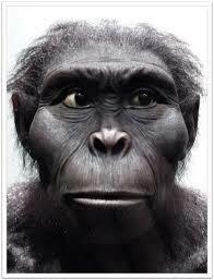 Kenyanthropus platyops