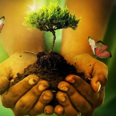 Timeline: HISTORIA DE LA EDUCACIÓN AMBIENTAL EN COLOMBIA