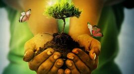 Timeline: HISTORIA DE LA EDUCACIÓN AMBIENTAL EN COLOMBIA