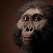 Paranthropus boisei