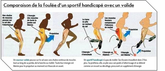 Fonctionnement Lames