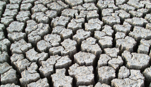 Continuity and Change