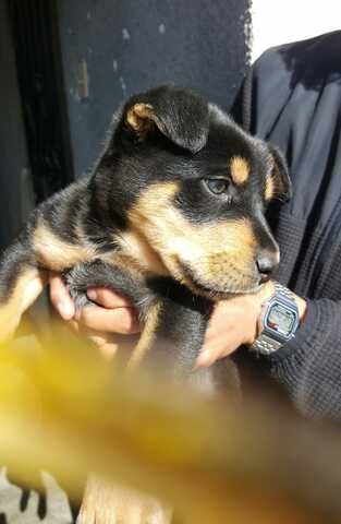 Mi amor a primera vista