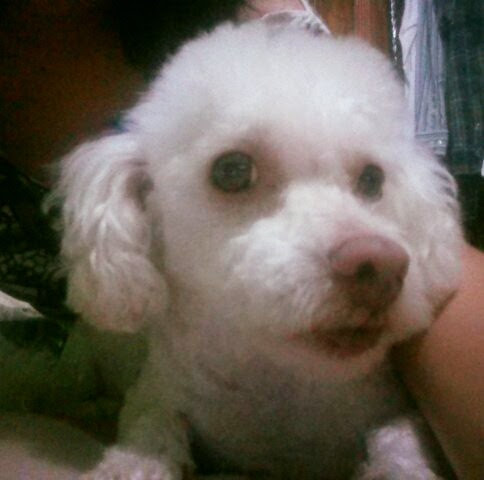 Nace mi primer bebé