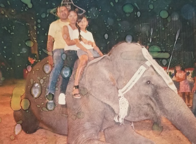 DIA EN QUE TOQUE Y CONOCI UN ELEFANTE