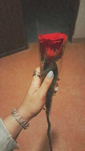 su primera rosa de paradero