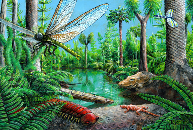 periòde Carbonífer