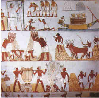 Los Egipcios (4000 a.C - 2,000 a.C)