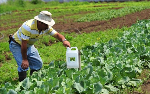Ley de tierras y desarrollo agrario