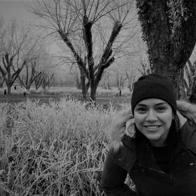 Timeline: Devocional