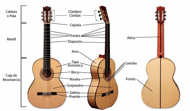 PARTES DE LA GUITARRA