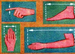 Unidades antropomórficas