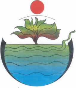 COP 8: Resultados - Declaración de intenciones, MDL y la Declaración Ministerial de Delhi