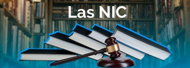 QUE SON LAS NIC