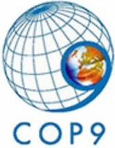 COP 9: Resultados - Sumidero y nueva tecnología