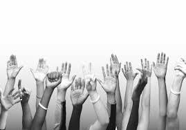 curules en el congreso.