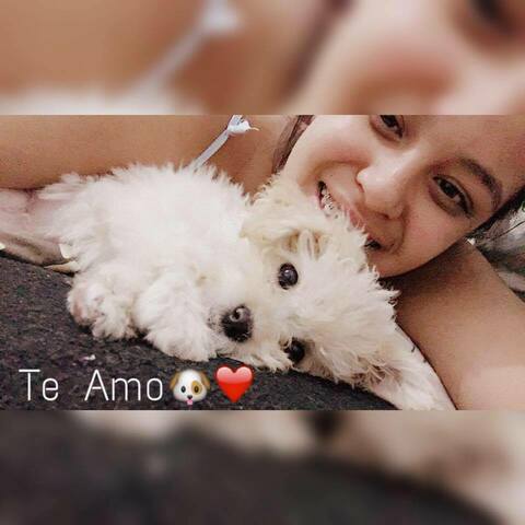 Me regalaron una Perrita