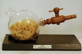 James Robinson (1816 - 1862)