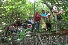 Promoción del ecoturismo para la erradicación de la pobreza y la protección del medio ambiente