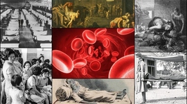 Timeline: 7. Enfermedades de la historia