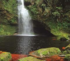 Formulación del Código Nacional Recursos Naturales Renovables y la Protección al Medio Ambiente