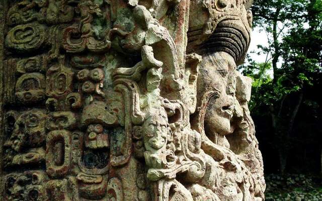 Levantamiento de estelas