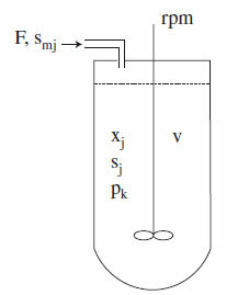 Biorreactores Fedbatch y sistema AnMBR