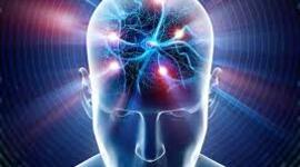 Timeline: EVOLUCIÓN HISTÓRICA DE NEUROCIENCIAS