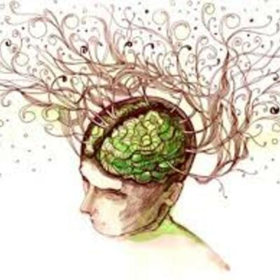 Timeline: Desde los Orígenes al Presente: Las Neurociencias de la Conducta, un viaje que no se detiene.