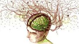 Timeline: Desde los Orígenes al Presente: Las Neurociencias de la Conducta, un viaje que no se detiene.