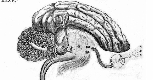 Wilhelm Maximilian Wundt