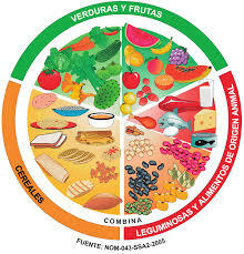 Creación de El plato del bien comer