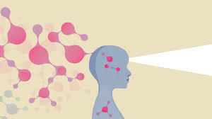 Comportamiento de la célula en el cuerpo.