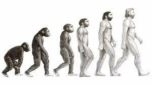 ORIGEN Y EVOLUCIÓN DEL ESTADO