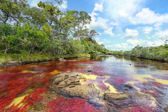 Parque número 56 del Sistema de Parques Nacionales