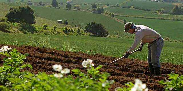la carta de navegación de la EA es la  Política de Educación Ambiental