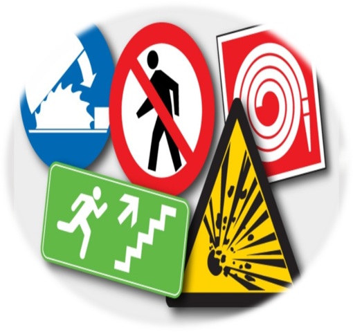 Primeras inspecciones gubernamentales