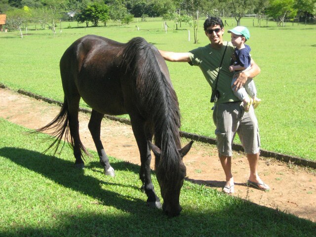 טיול לברזיל עם המשפחה