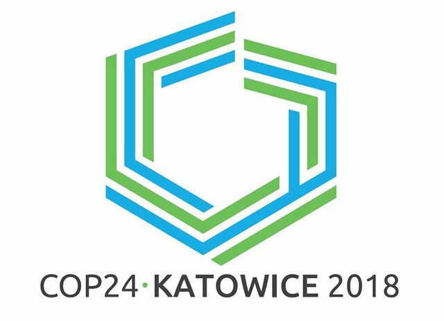 COP 24: Resultados - mecanismos de cooperación y diagnóstico global