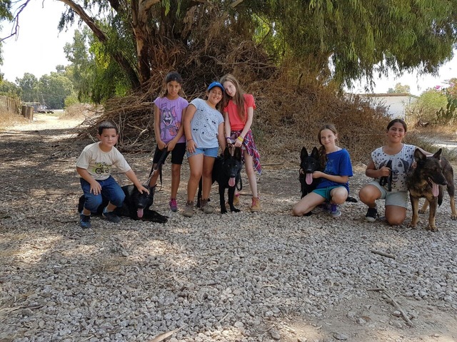 קיטנת כלבים בחווה של אבא