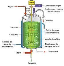 Fermentadores biorreactores tipo tanque agitado