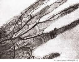 Primera Angiografía