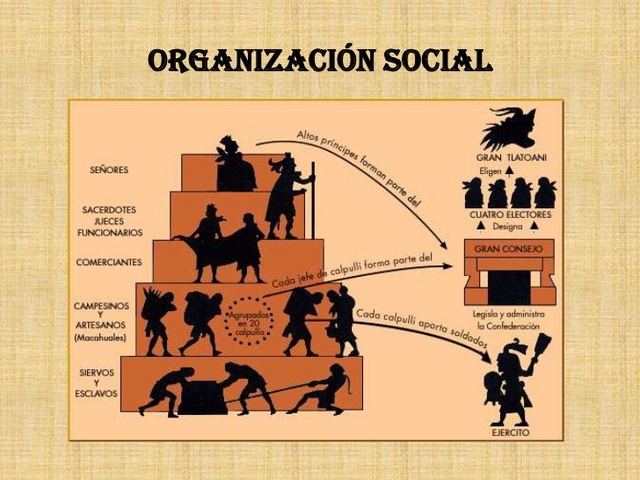 ORGANIZACION SOCIAL