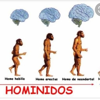 Timeline: La evolución de los homínidos