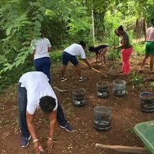 6° Hito de la Educación Ambiental