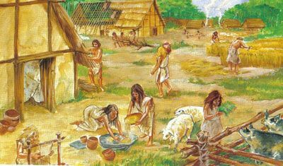 El trabajo se especializa