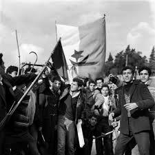 In algeria the majority resisted french rule, won independece