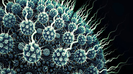 Timeline: Apectos resaltantes y significativos en la historia de la Virología