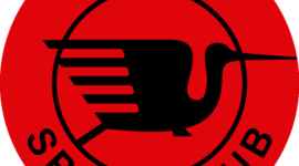 Timeline: IBIS: MAIS QUE UM TIME, UMA LENDA